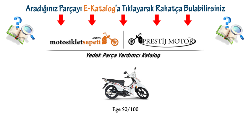Detay Yardımcı Katalog Kuba Ege 50/100