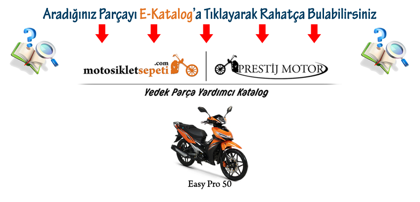 Detay Yardımcı Katalog Rks Easy Pro 50